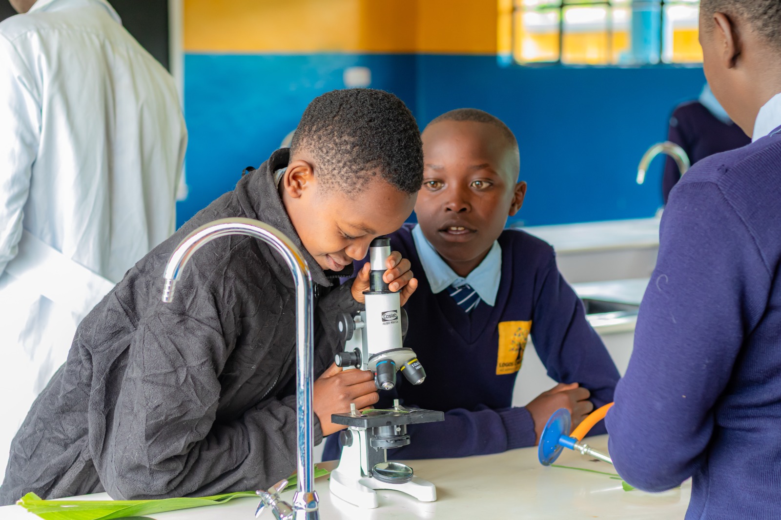 Biology practical — examining specimens under the microscope