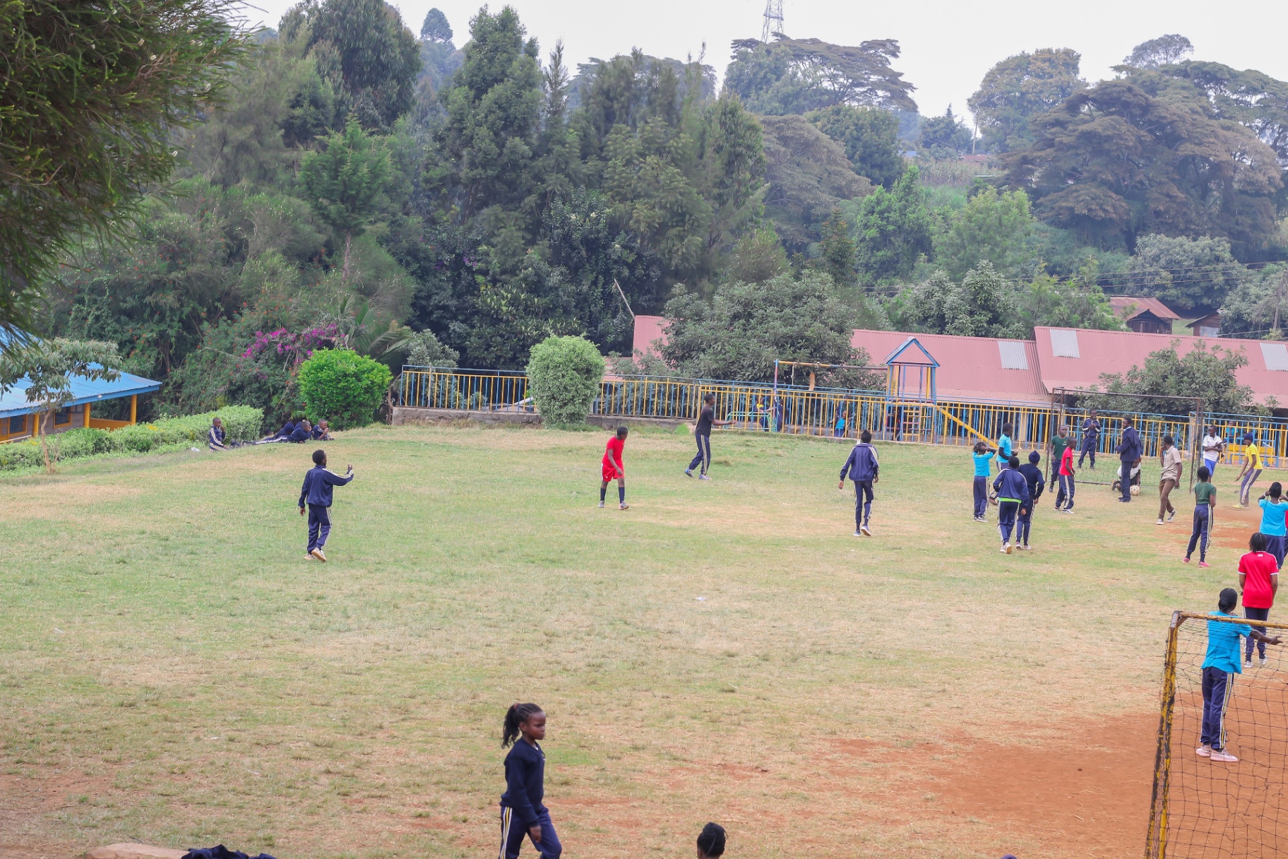 Expansive Sports Field