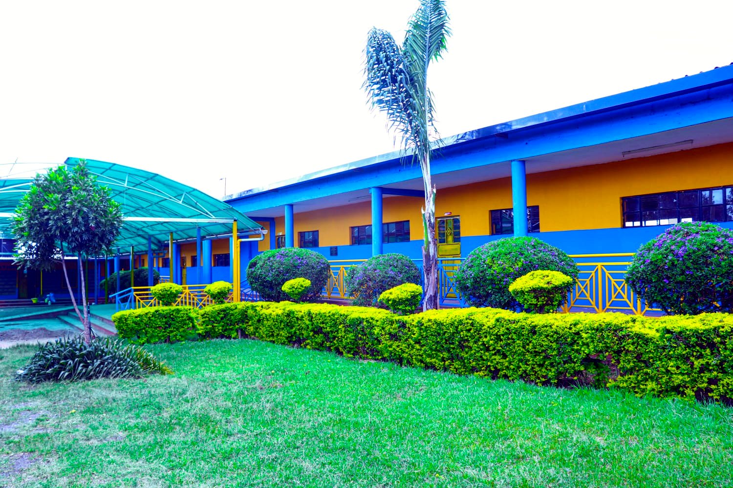 Green courtyard between classrooms